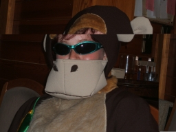 K06